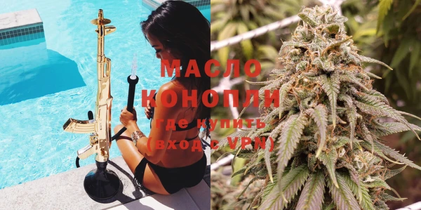 индика Бородино