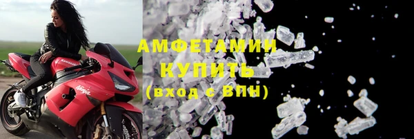 индика Горнозаводск