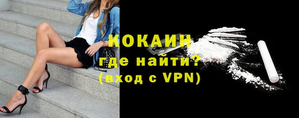 спиды Вяземский