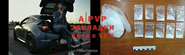 спиды Вяземский
