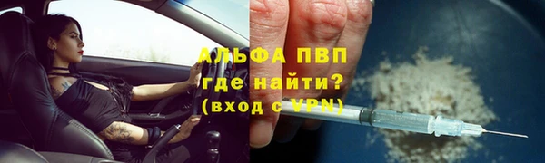 спиды Вяземский