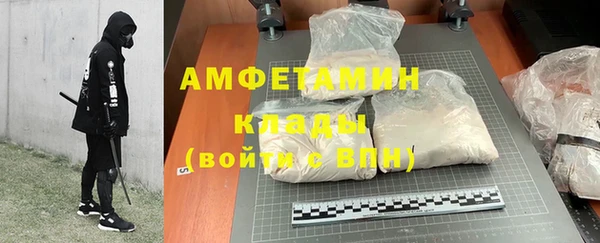 спиды Вяземский