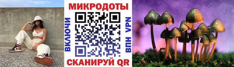 Псилоцибиновые грибы Psilocybe  продажа наркотиков  Заозёрный 